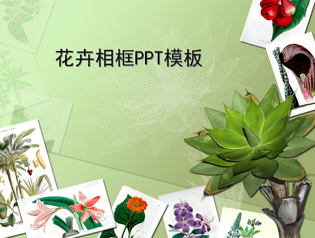 花卉相框PPT模板,PPT模板,素材免费下载插图