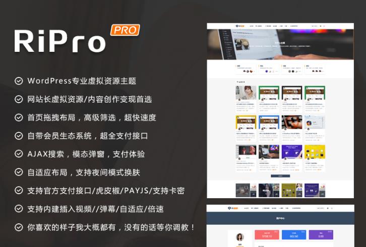 WordPress主题 RiPro v5.0高级付费素材资源类主题