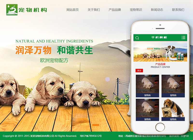 织梦宠物动物机构类网站织梦模板(带手机端)插图