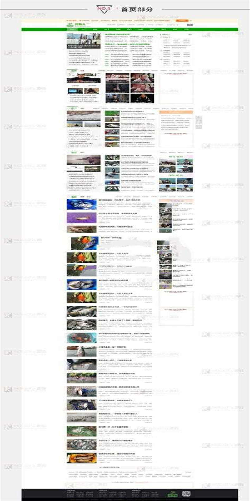 帝国CMS仿《钓鱼人》钓鱼视频渔业网站源码机车收藏家_源码下载插图