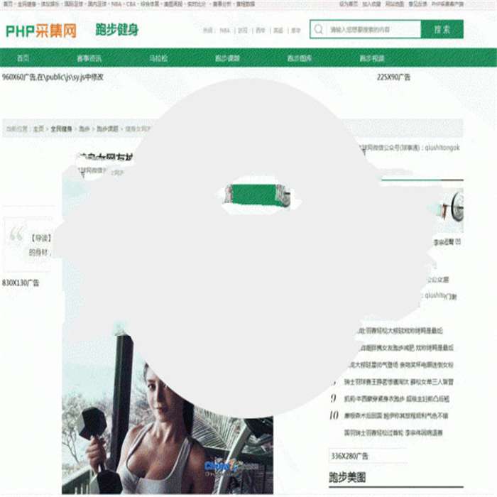 [整站源码]泛域名PHP镜像克隆程序网站源码插图