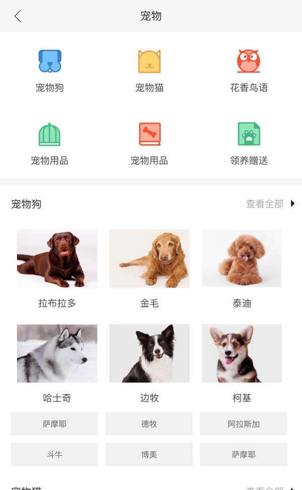 宠物分类栏模板,手机页面插图