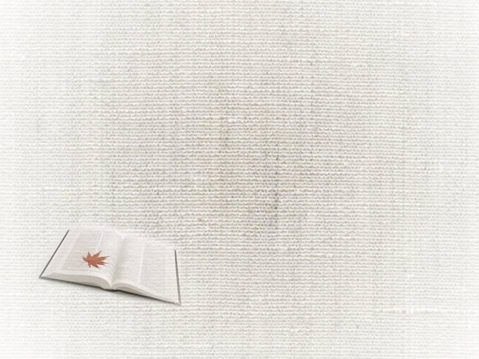简洁白色书本课本幻灯片背景模板,PPT模板,素材免费下载插图