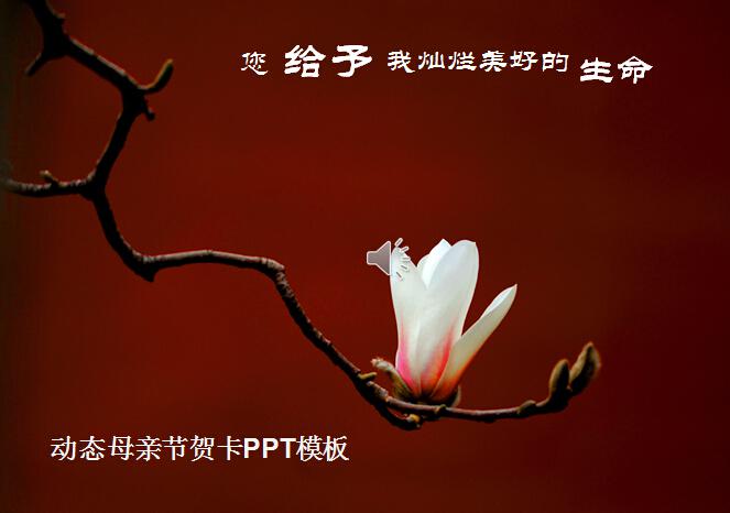 动态母亲节贺卡ppt模板,PPT模板,素材免费下载插图