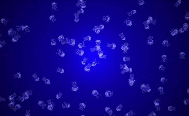 html5 canvas游动的水母动画特效插图