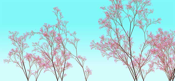 HTML5 Canvas绘制漂亮的樱花树背景特效插图